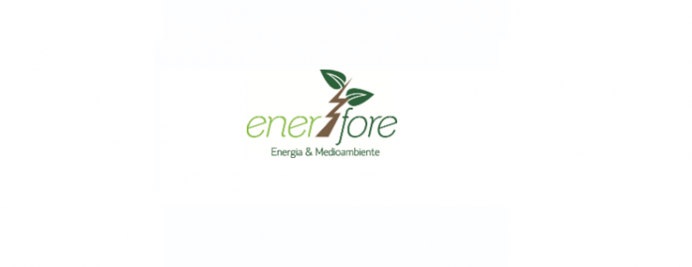 Enerfore